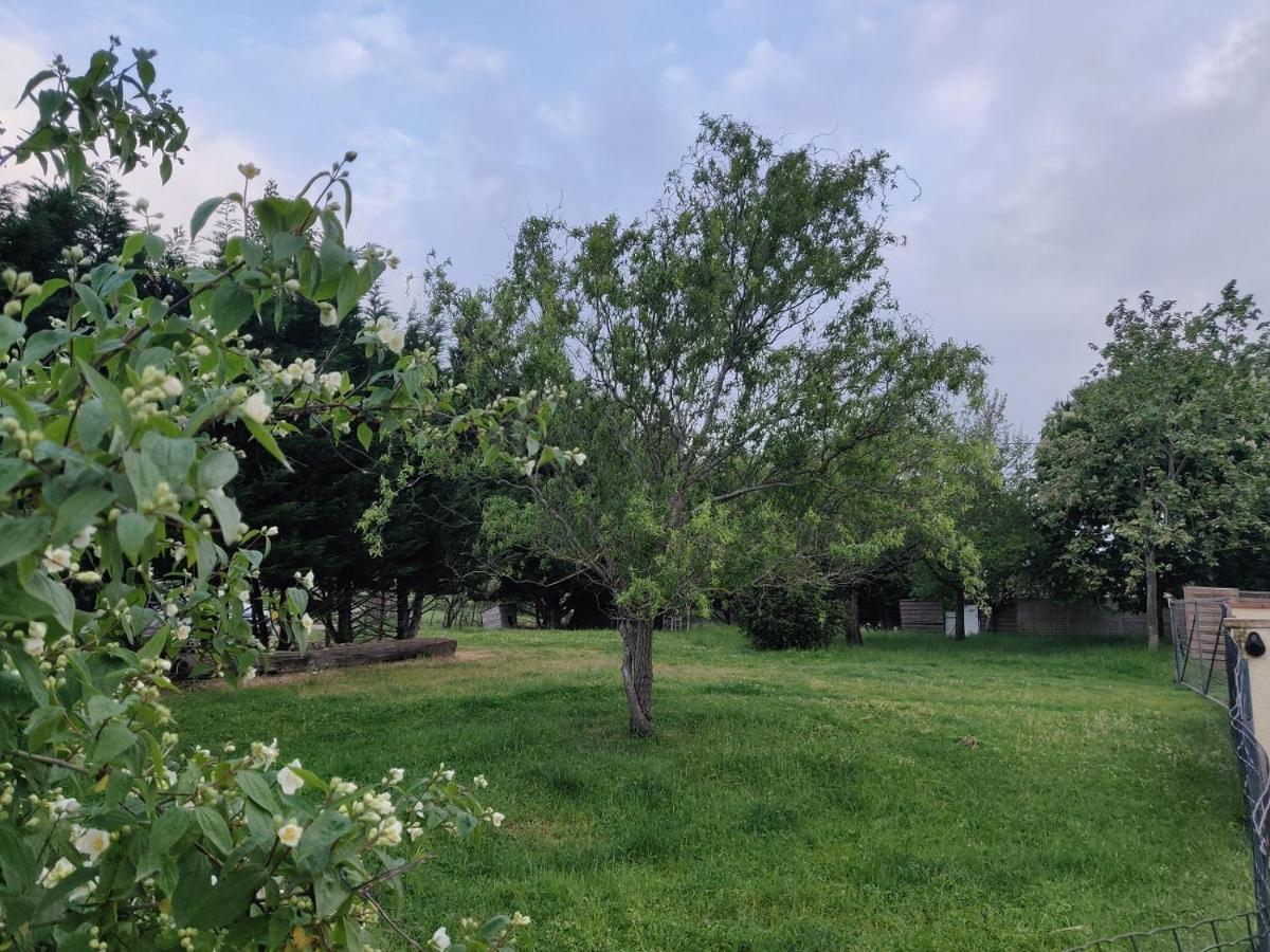 Le Loft Nature Bien-etre Du Tarn Entre Toulouse Et Albi Hébergement de vacances *